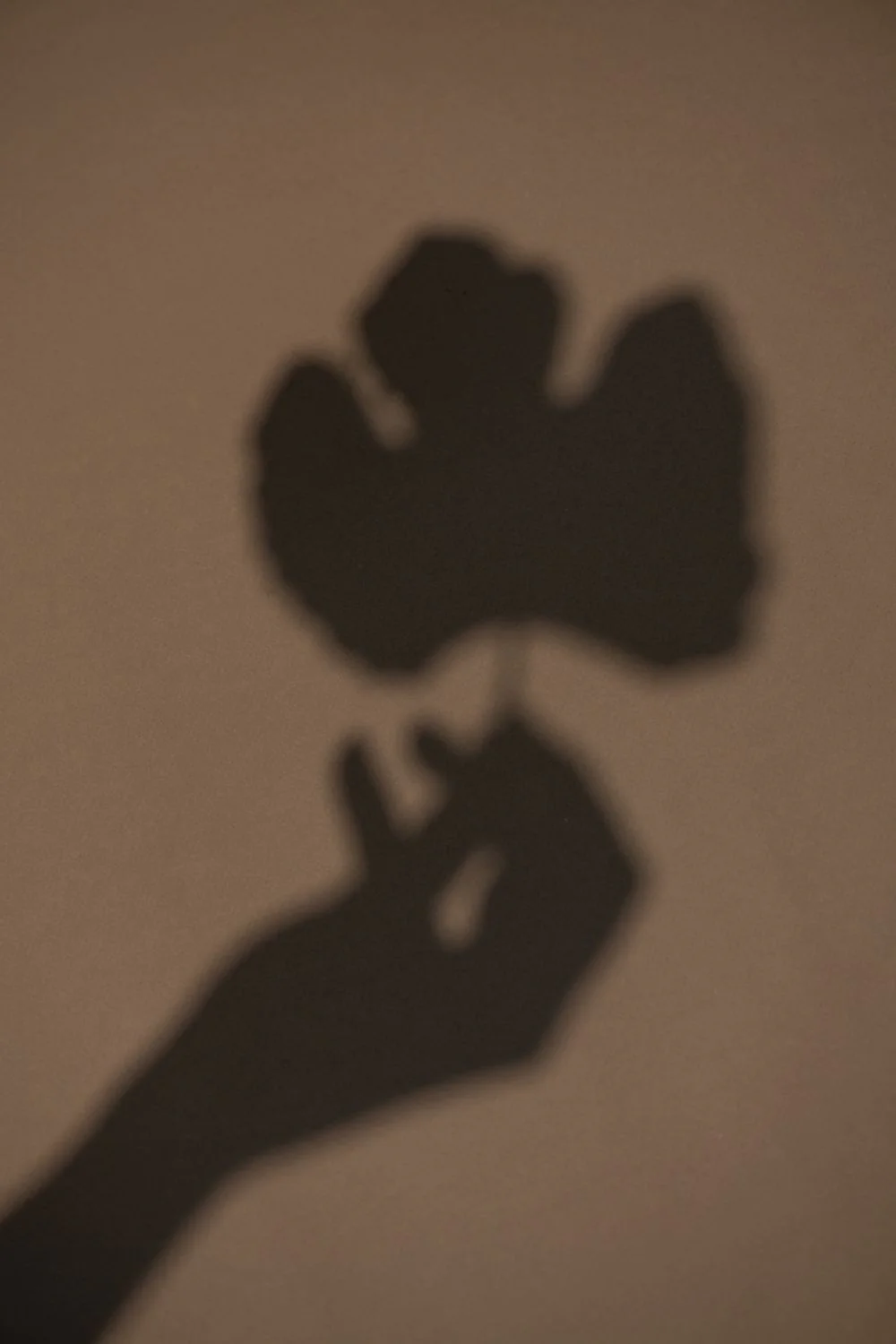 Nourishing Body Lotion | Fig Extract + Shea Butter - Image 5